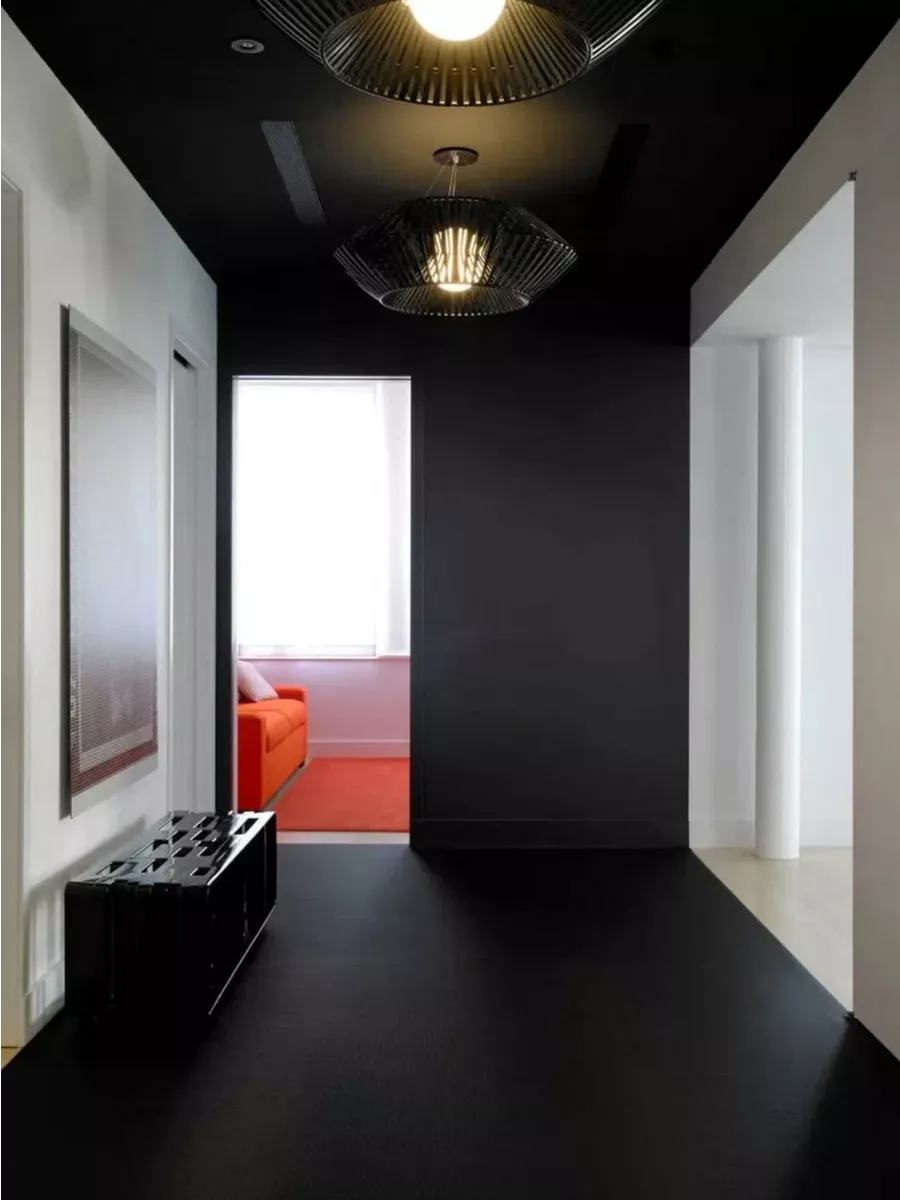 Краска для стен и обоев,черная фото 7