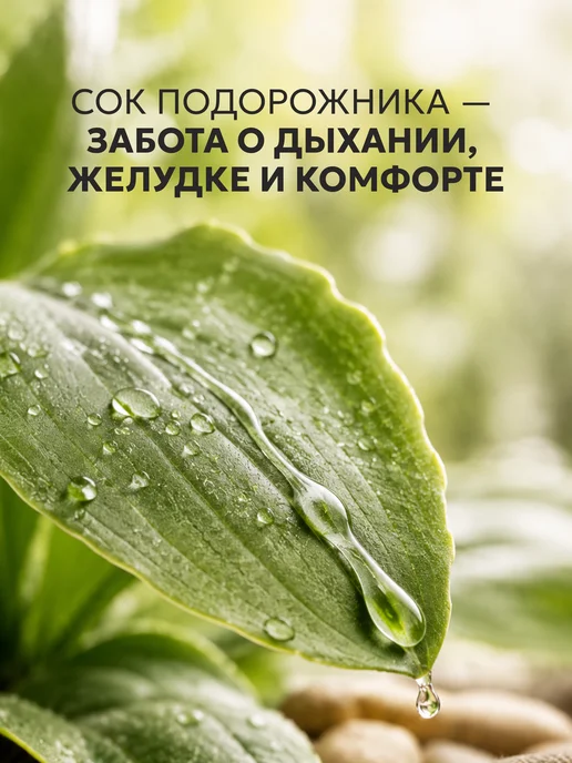 АЛФИТ Сок подорожника для желудка с топинамбуром, 200 мл, фото 2