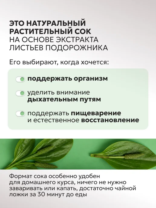 АЛФИТ Сок подорожника для желудка с топинамбуром, 200 мл, фото 3