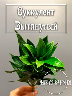 Искусственная зелень, куст "Суккулент вытянутый"