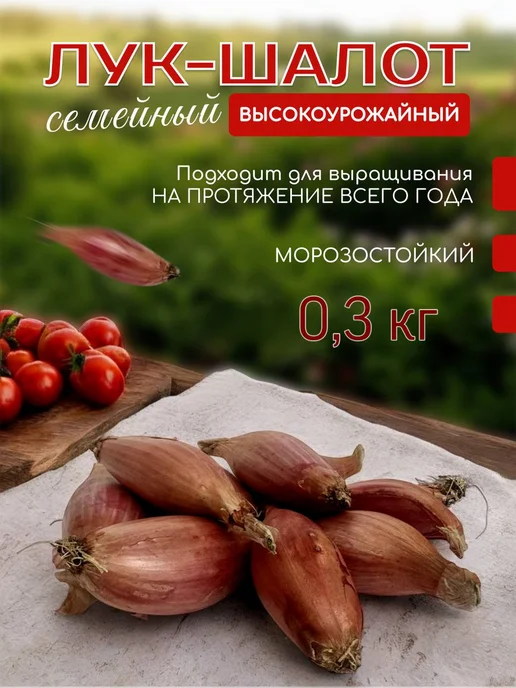 Лук севок на посадку в зиму Шалот "Семейный" 0.3 кг, 300 г
