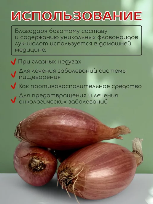 Лук севок на посадку в зиму Шалот "Семейный" 0.3 кг, 300 г, фото 2