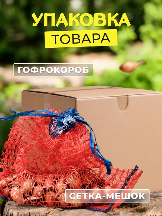 Лук севок на посадку в зиму Шалот "Семейный" 0.3 кг, 300 г, фото 3