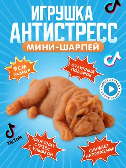 Игрушка антистресс для рук собака сквиш