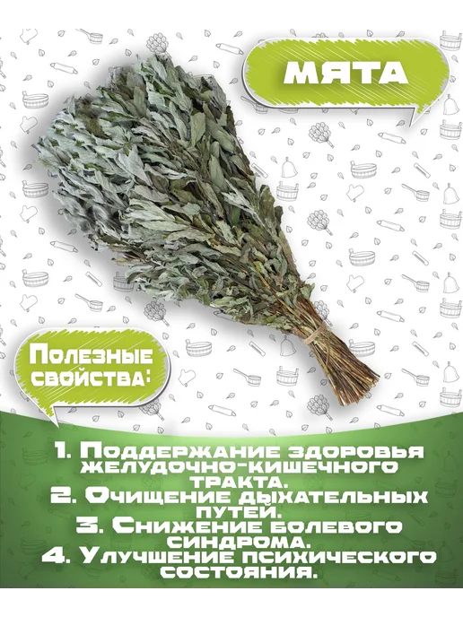 Травы и веники для бани и сауны Липа Мята Зверобой, вариант, фото 6