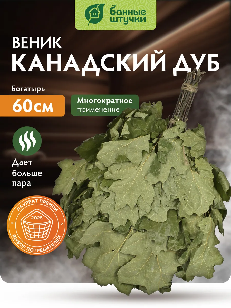 Веник канадский дуб "Богатырь"
