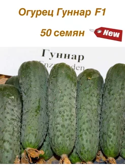 Огурец Гуннар F1, 50 семян