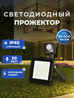 Светодиодный прожектор FL Sensor Pro 30W 6500K IP65