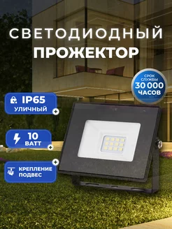 Светодиодный прожектор FL SMD LIGHT 10W 6500K IP65