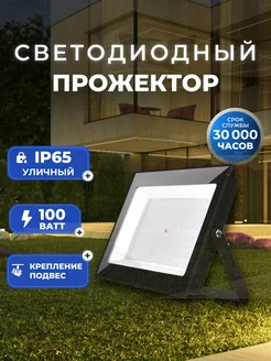 Светодиодный прожектор FL SMD Pro 100W 6500K IP65