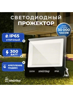 Светодиодный прожектор FL SMD Pro 300W 6500K IP65