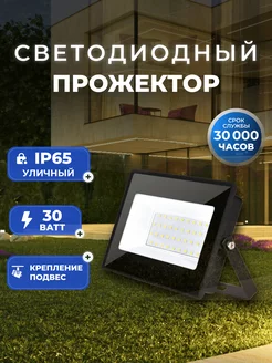 Светодиодный прожектор FL SMD Pro 30W 6500K IP65