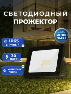 Светодиодный прожектор FL SMD 30W 6500K IP65