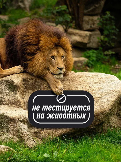 Дай пять! Гель для душа + шампунь Мужской 3в1 750 мл, 750 мл, фото 7