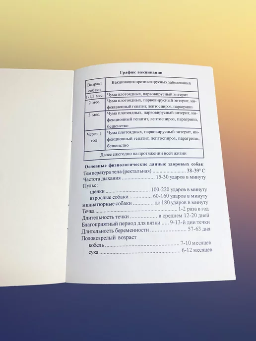 ИП Евдаков Г. И. Паспорт ветеринарный, вариант, фото 3