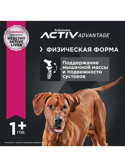 Dog для взрослых собак крупных пород Курица, 15 кг