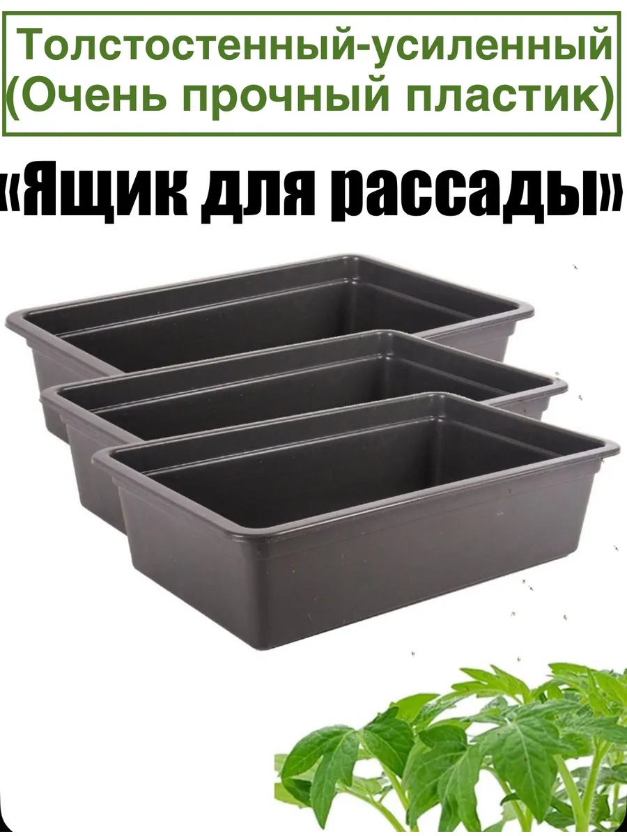 Ящик для рассады