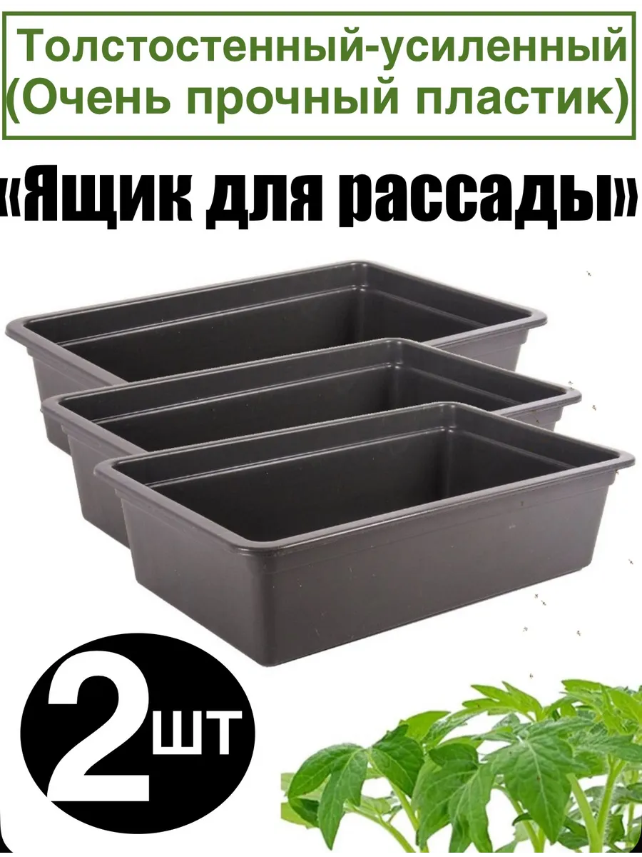 Ящик для рассады
