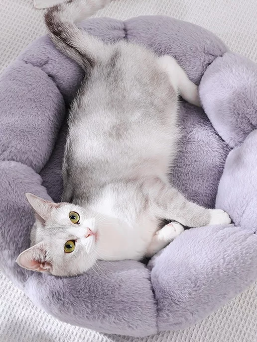Клумбы для кошек и собак цветочные клумбы для животных, серый, фото 4