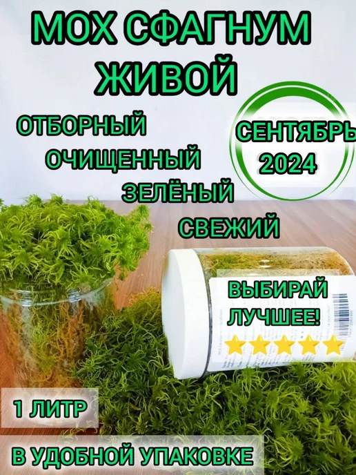 GreenMoss Мох сфагнум живой зеленый сбор 2024