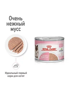 Корм влажный для котят Mother&Babycat 195 г x 12 шт ROYAL CANIN 244200103 купить за 2 762 ₽ в интернет-магазине Wildberries