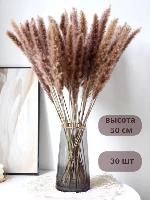 Смотреть қыздықты жоғалту туралы секс видеоларын онлайн Ега порно онлайн