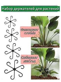 Набор держателей для растений