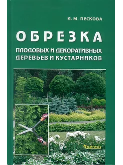 Обрезка плодовых и декоративных деревьев и кустарников