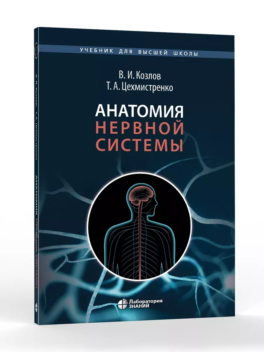 Анатомия нервной системы учебное пособие для студентов