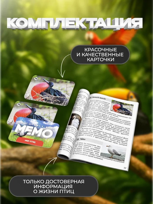 Сима-Ленд & ЛАС ИГРАС Настольная игра для детей на память Мемо Мир птиц, синий, фото 2