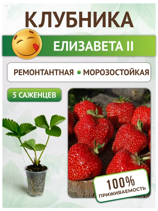 Сбор урожая и хранение плодов