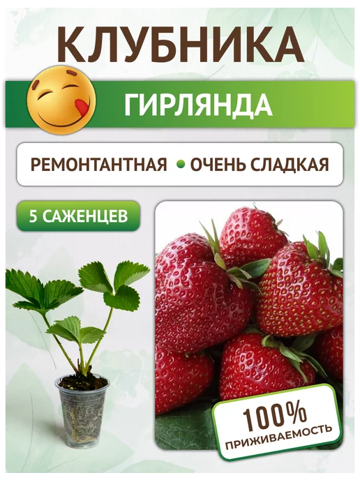 Как правильно собрать и хранить урожай