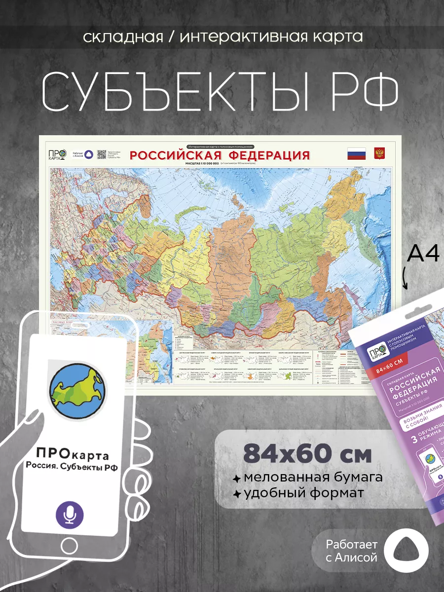 ПроКарта России настенная географическая