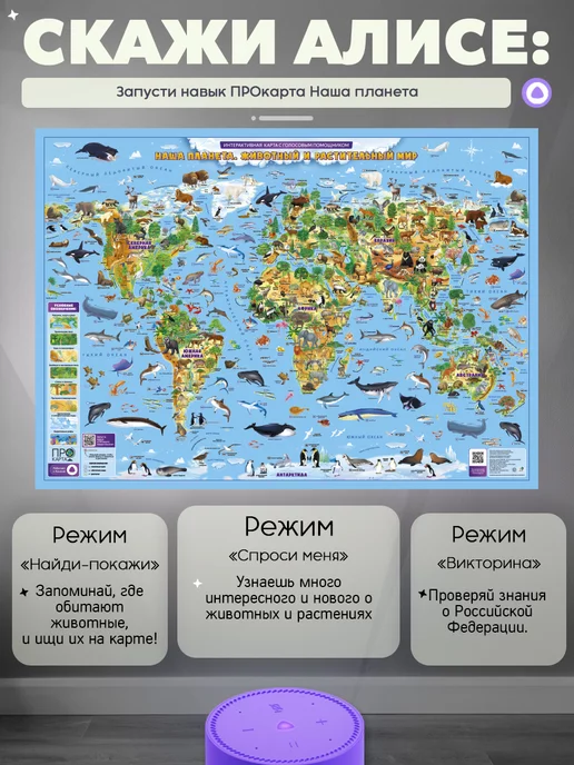 ГЕОДОМ ПроКарта мира для детей интерактивная, вариант, фото 3