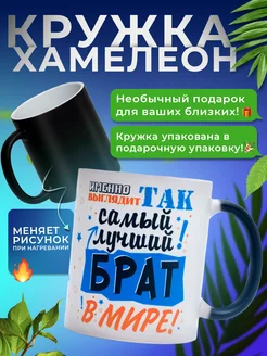 Кружка хамелеон для чая, подарок брату