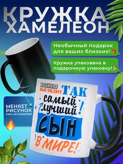 Кружка хамелеон для чая, подарок сыну