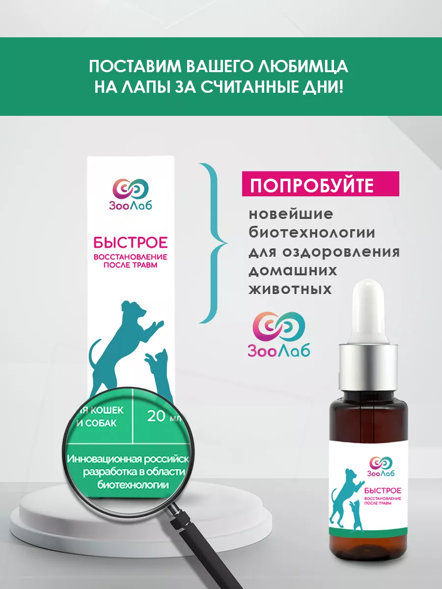“Быстрое восстановление после травм” для кошек и собак