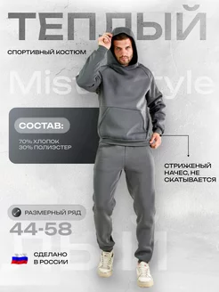 Теплый спортивный костюм с начесом Misterstyle 244636765 купить за 3 691 ₽ в интернет-магазине Wildberries