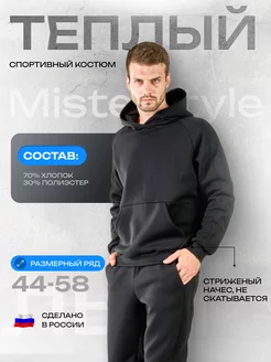 Теплый спортивный костюм с начесом Misterstyle 244637553 купить за 4 438 ₽ в интернет-магазине Wildberries