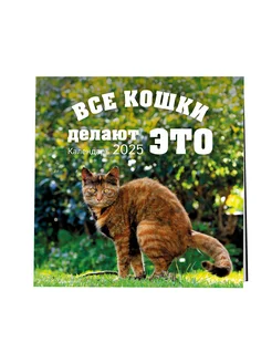 Календарь c какающими кошками на 2025 год настенный