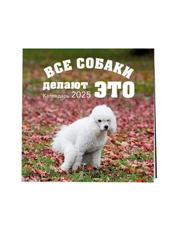 Календарь c какающими собаками на 2025 год настенный