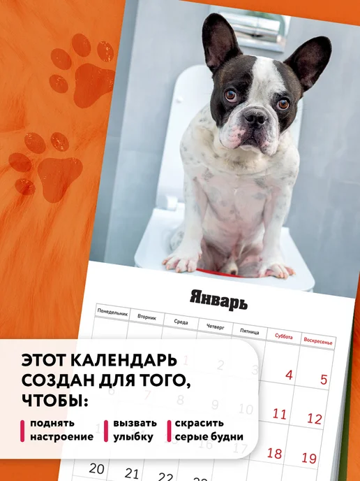 Календарь c какающими собаками на 2025 год настенный