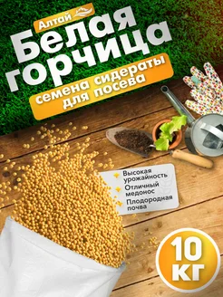 Семена горчицы для посева 10 кг