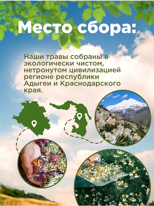 Родные травы Бессмертник песчаный цветы сушеные чай, вариант, фото 2