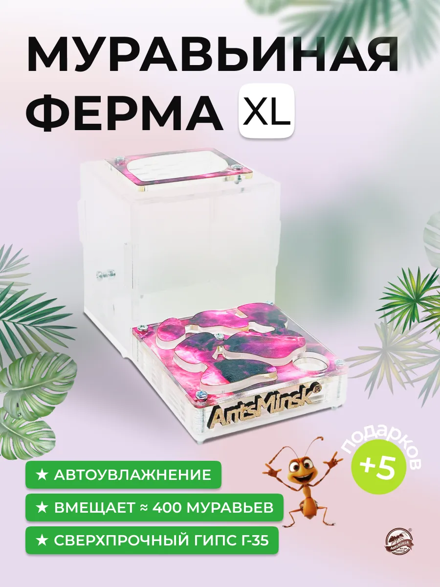 Муравьиная ферма....
