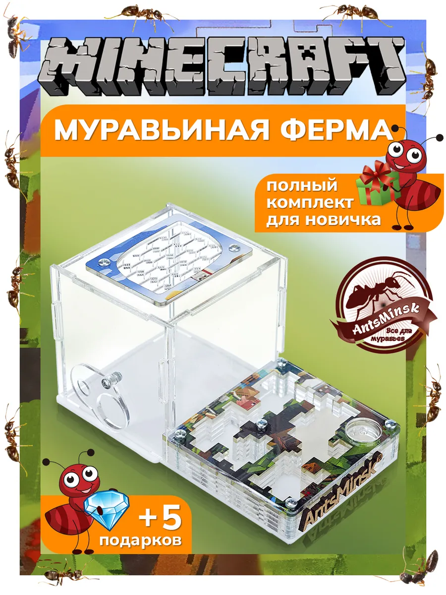 Муравьиная ферма....
