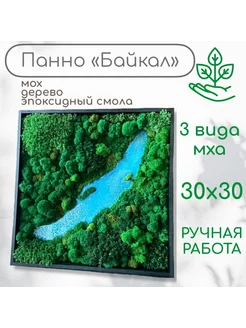 Картина из мха "Озеро Байкал" 33х33 см