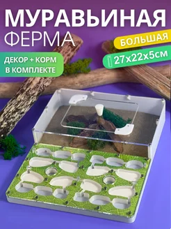 Большая муравьиная ферма