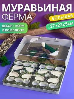 Большая муравьиная ферма