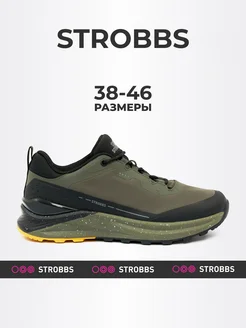 Кроссовки демисезонные Strobbs 244837810 купить за 5 444 ₽ в интернет-магазине Wildberries